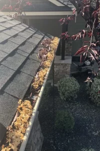Gutter Cleaning before